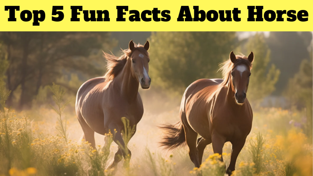 Top 5 Fun Facts About Horse